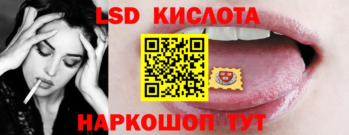 LSD-25 экстази кислота  Вход с VPN  Новодвинск  Лсд 25 экстази ecstasy 