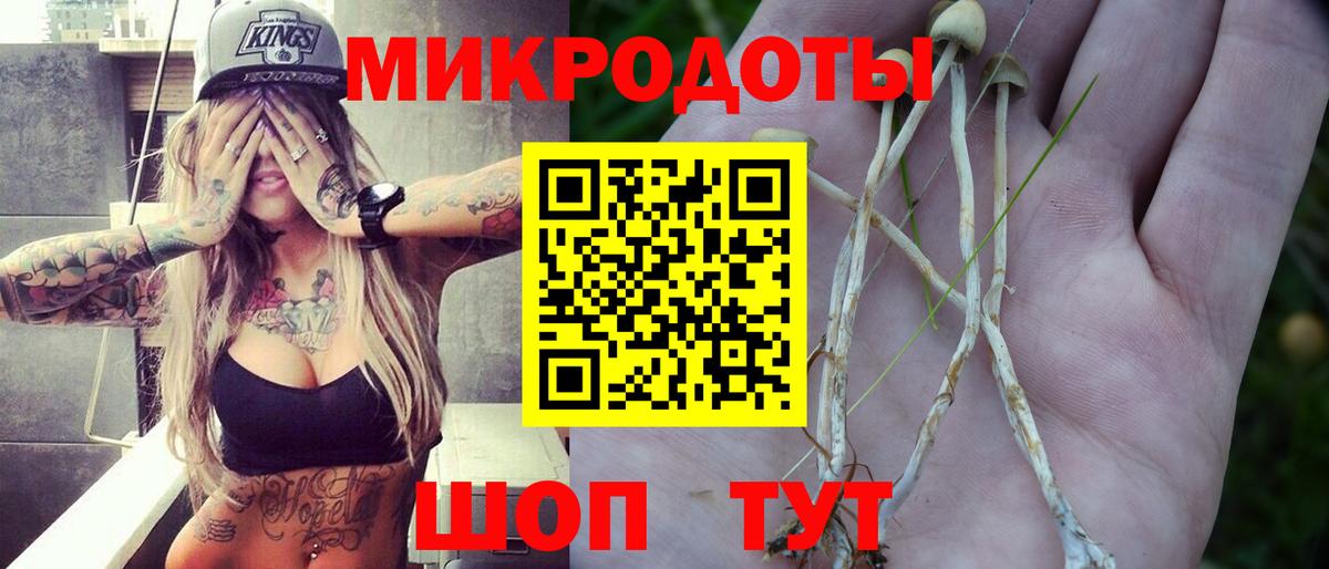 Псилоцибиновые грибы мухоморы Новодвинск