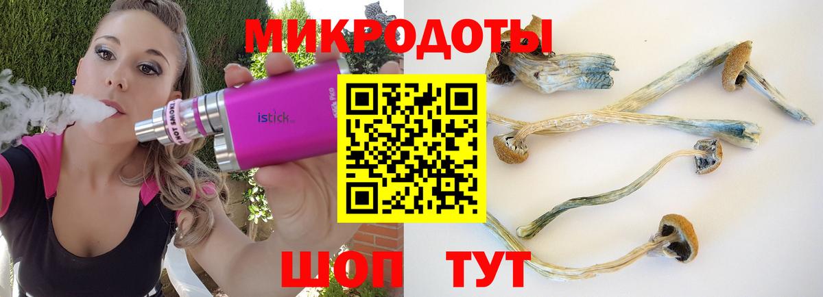Галлюциногенные грибы Psilocybe  Вход с VPN  Новодвинск 